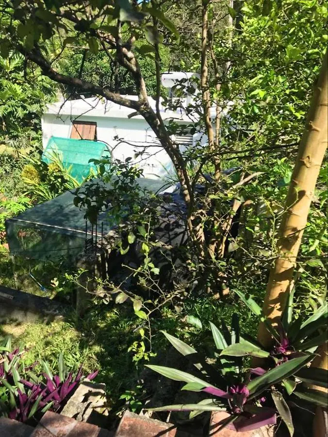 Contacts de Maison d\'une chambre avec jardin clos et wifi a Le Gosier a 3 km de la plage